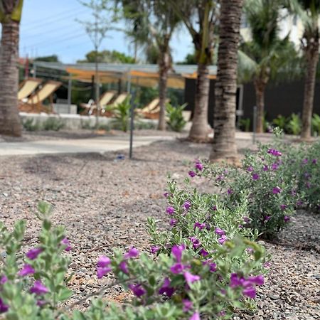 Wanderlust Garden Inn ムイネー エクステリア 写真